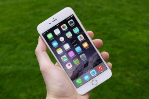 Studenti budou nabízeni vytvořit mobilní aplikaci pro vyhledávání chybějících mazlíčků